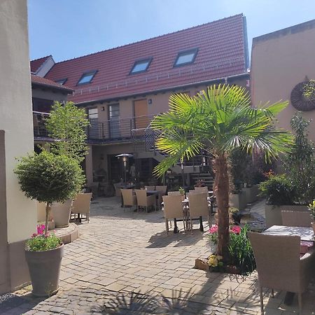 Hofgarten Rosa Ilbesheim bei Landau in der Pfalz Εξωτερικό φωτογραφία