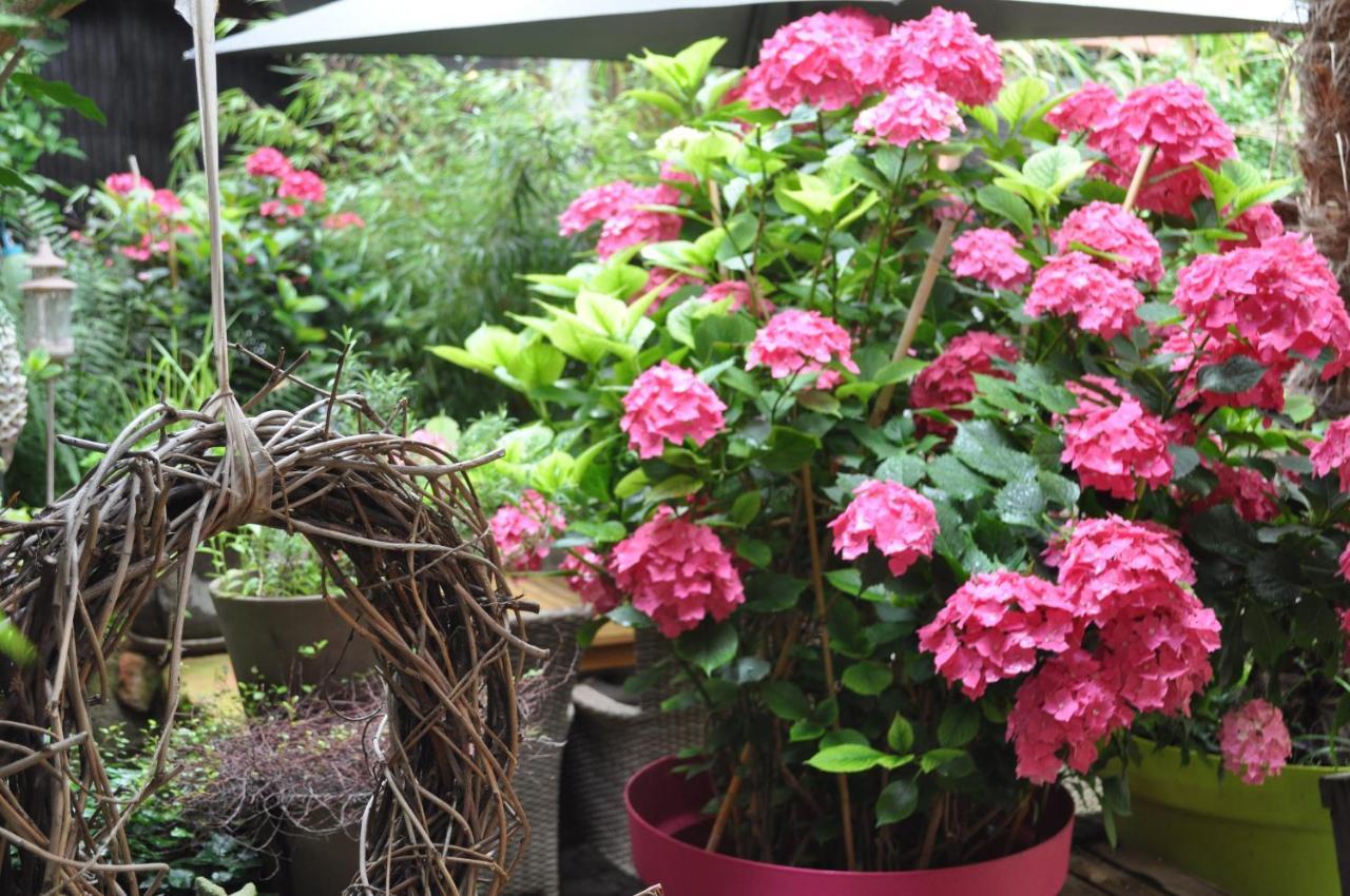 Hofgarten Rosa Ilbesheim bei Landau in der Pfalz Εξωτερικό φωτογραφία