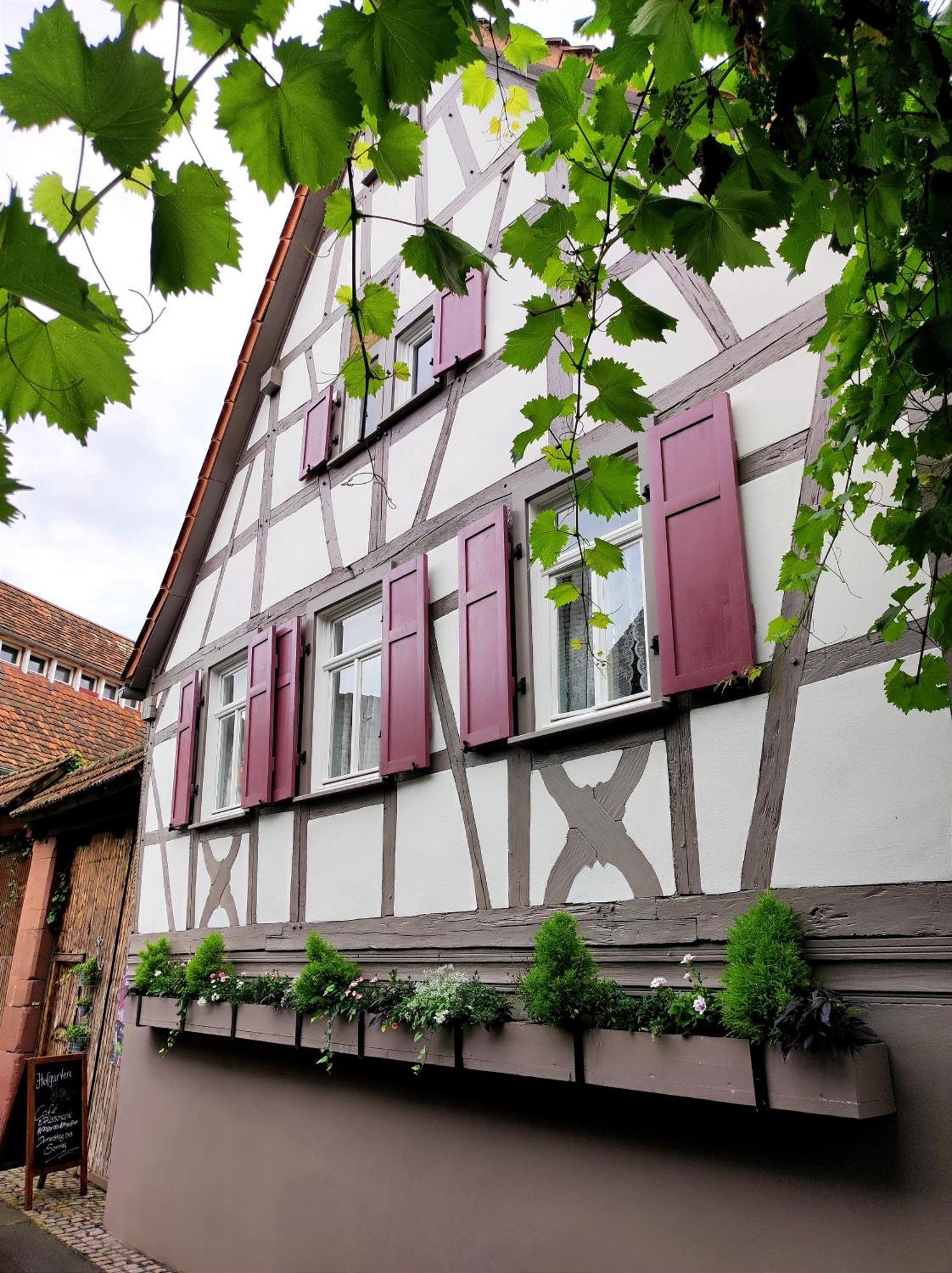 Hofgarten Rosa Ilbesheim bei Landau in der Pfalz Εξωτερικό φωτογραφία