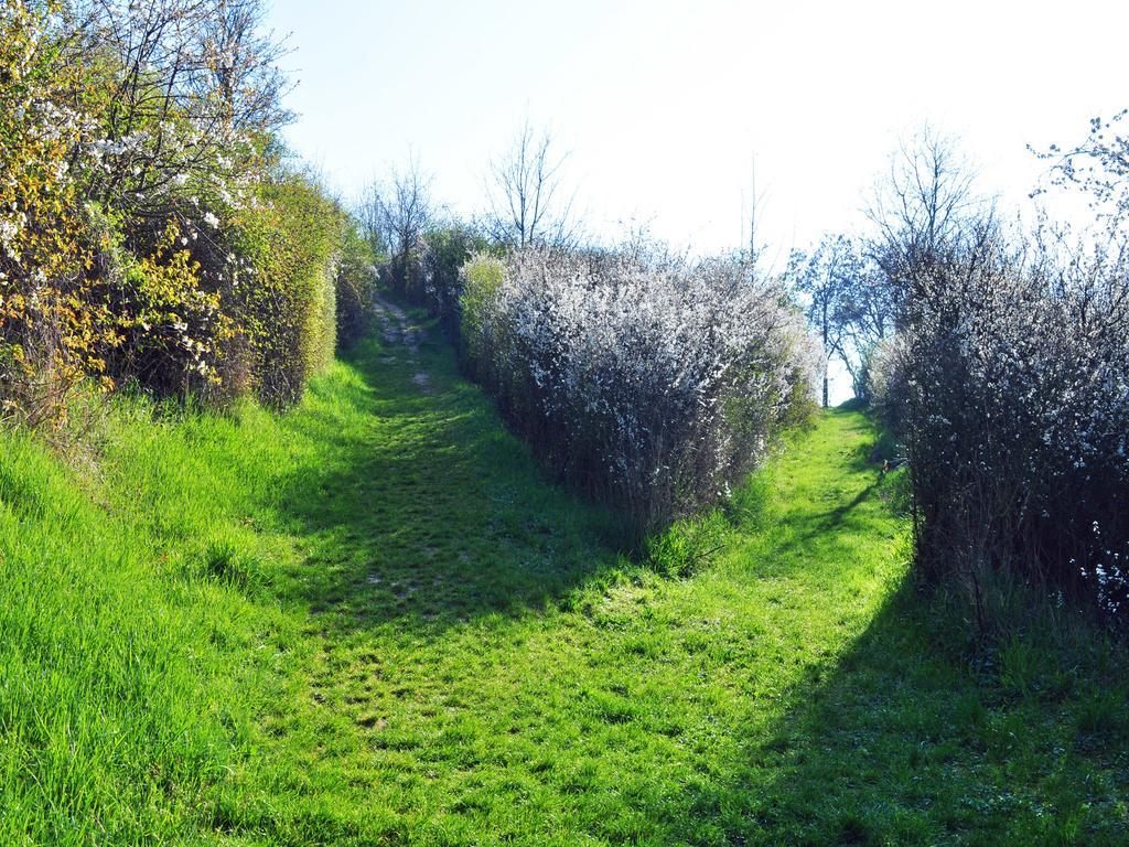 Hofgarten Rosa Ilbesheim bei Landau in der Pfalz Εξωτερικό φωτογραφία