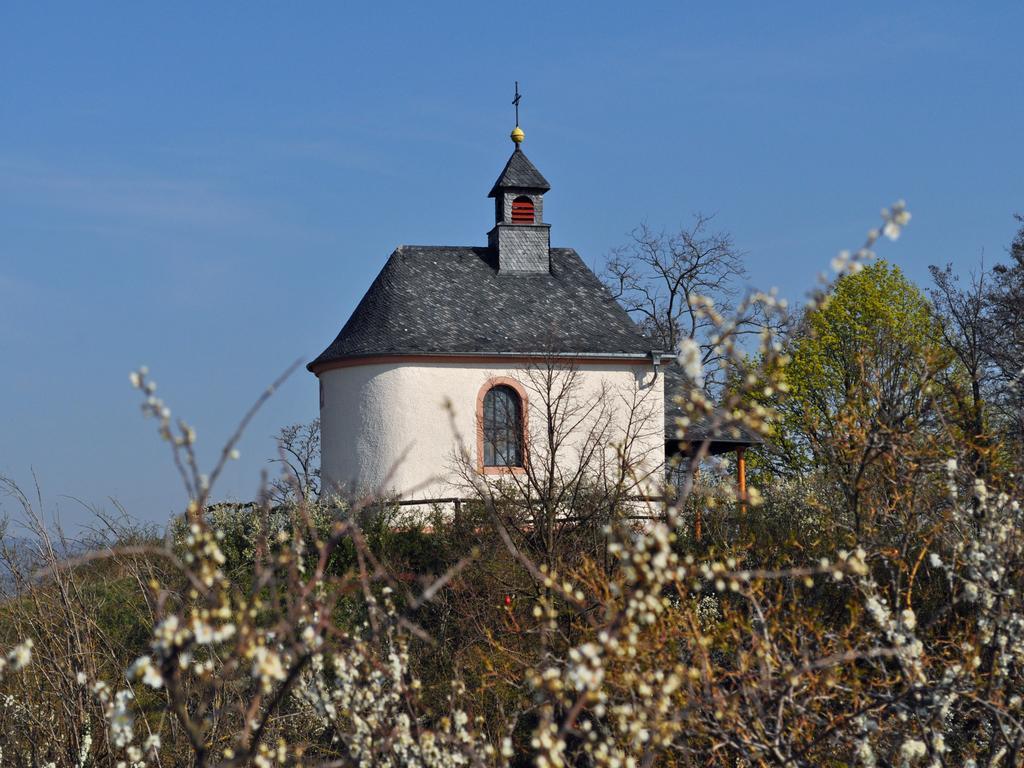 Hofgarten Rosa Ilbesheim bei Landau in der Pfalz Εξωτερικό φωτογραφία
