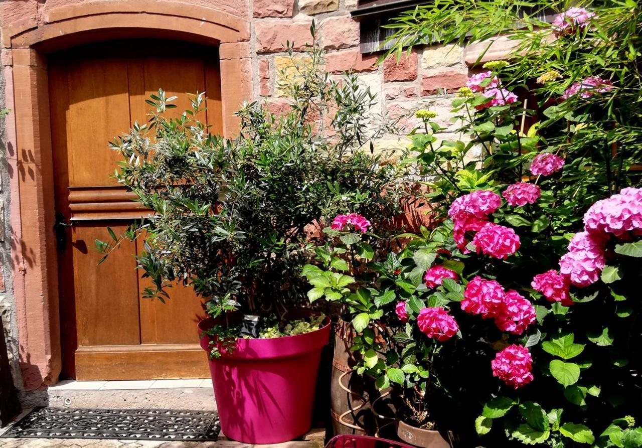 Hofgarten Rosa Ilbesheim bei Landau in der Pfalz Εξωτερικό φωτογραφία